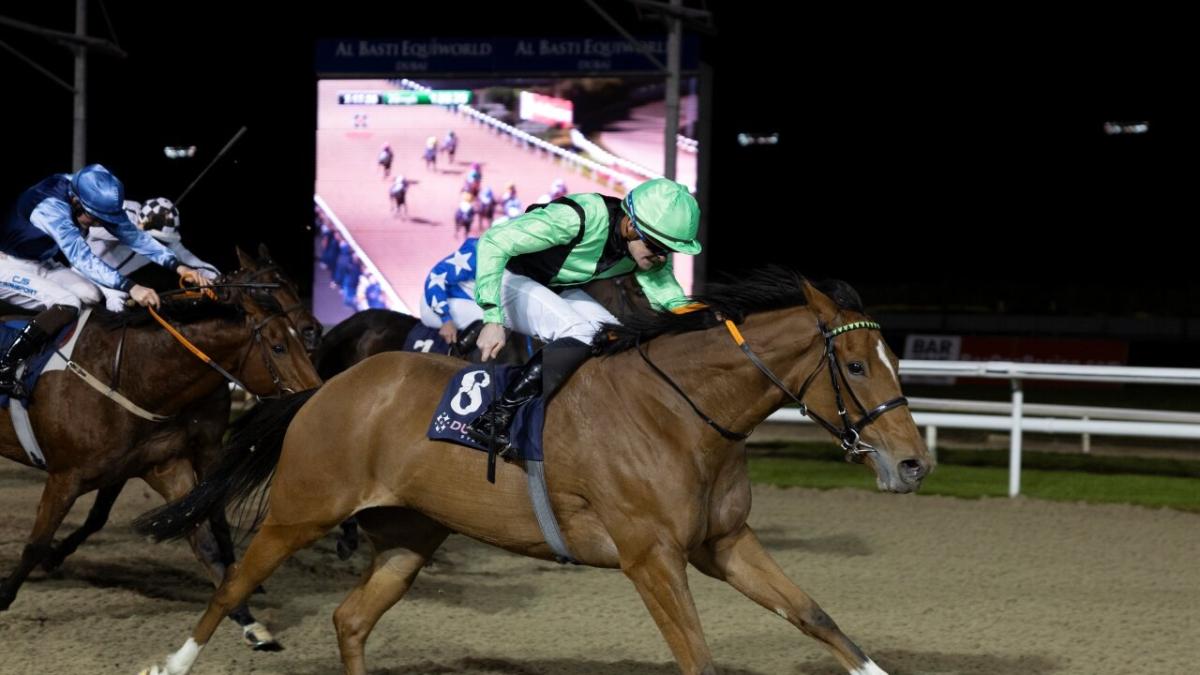 Dundalk Racecourse
